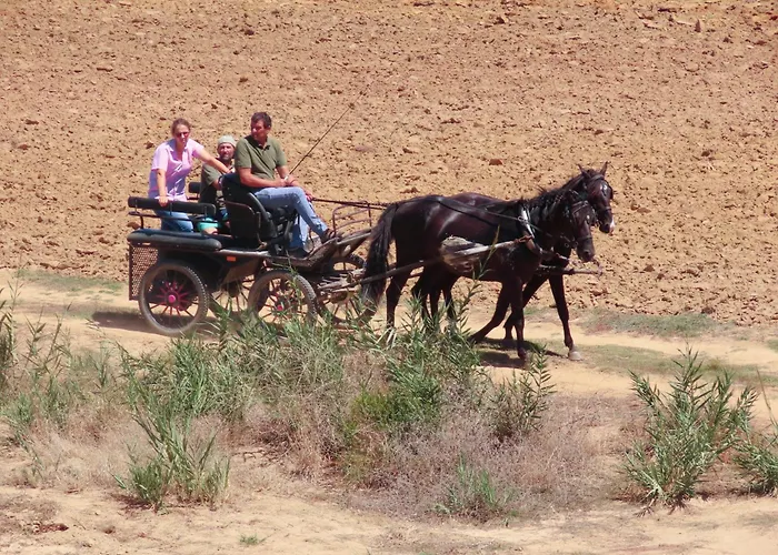 Casa Do Portao Azul - Tamboril * アトウギア・ダ・バレイア